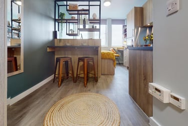 iQ Newtown House Student Halls, Maid Marian Way, City Centre, Nottingham, NG1 6GG - Image 4